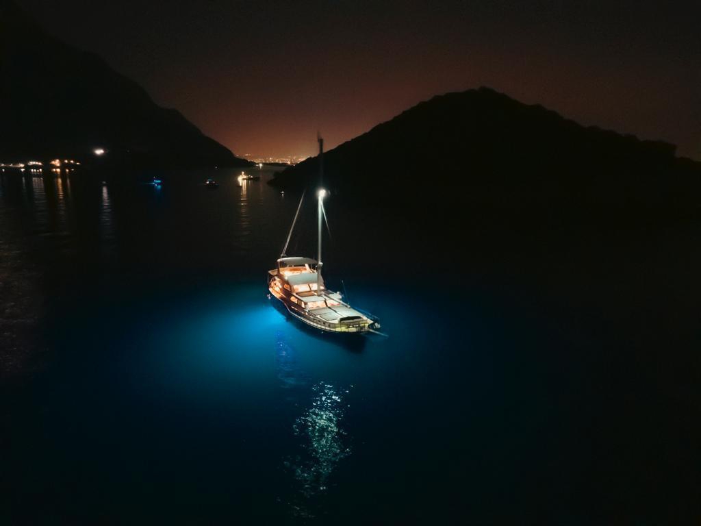Odysea (20)